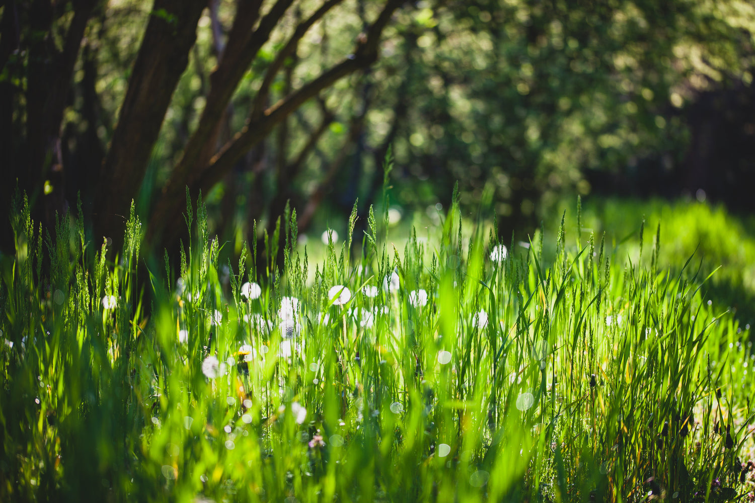 Spring Skincare