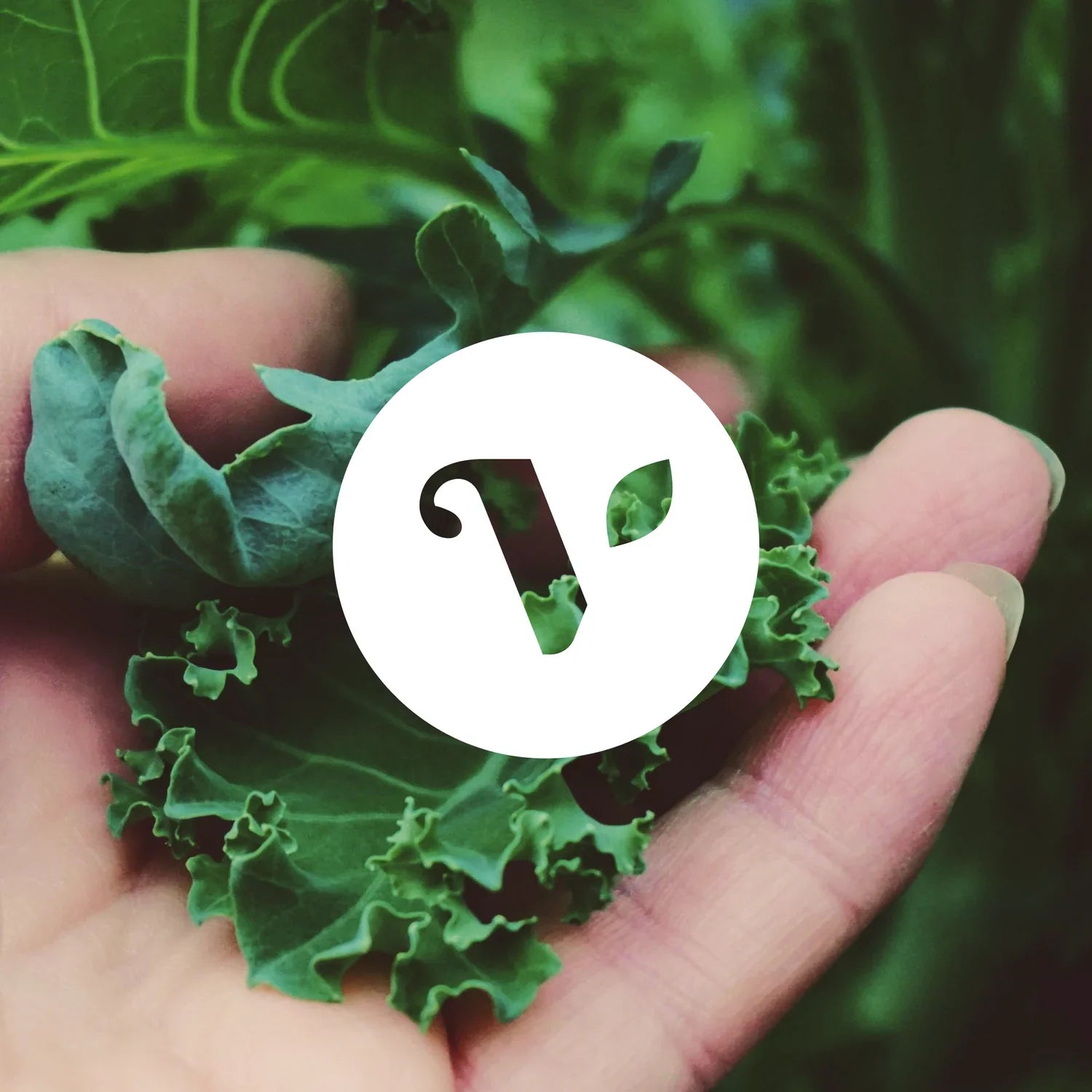 About our vegan products